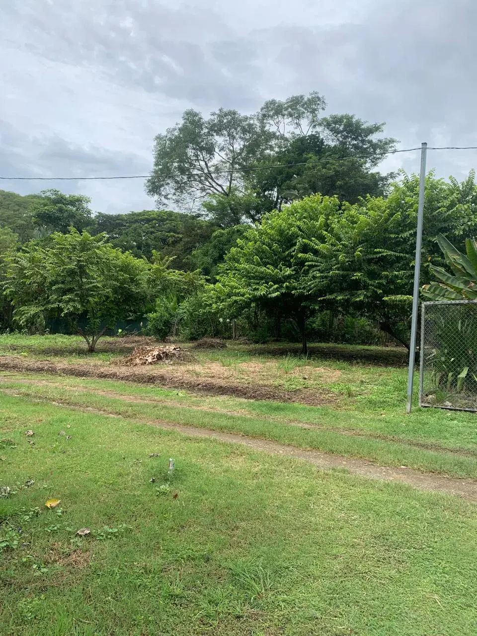 345 m² LOT FOR SALE IN MANZANILLO – NEAR SANTA TERESA & PLAYA HERMOSA and Minutes to the beach - 1