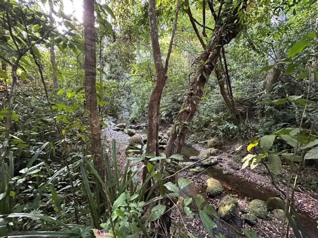 Exceptionnel terrain agricole de 32 hectares à vendre près de Santa Teresa, Costa Rica – 12,50 $/m²