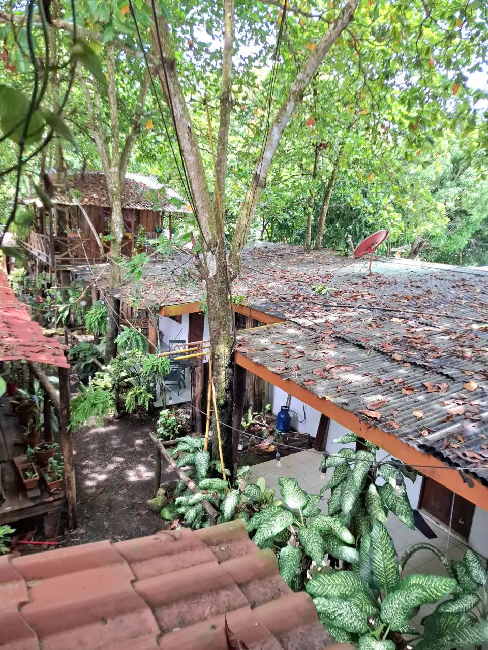 Raíces rústicas, infinitas posibilidades: el proyecto soñado de un surfista en Playa Hermosa, Jacó - 3