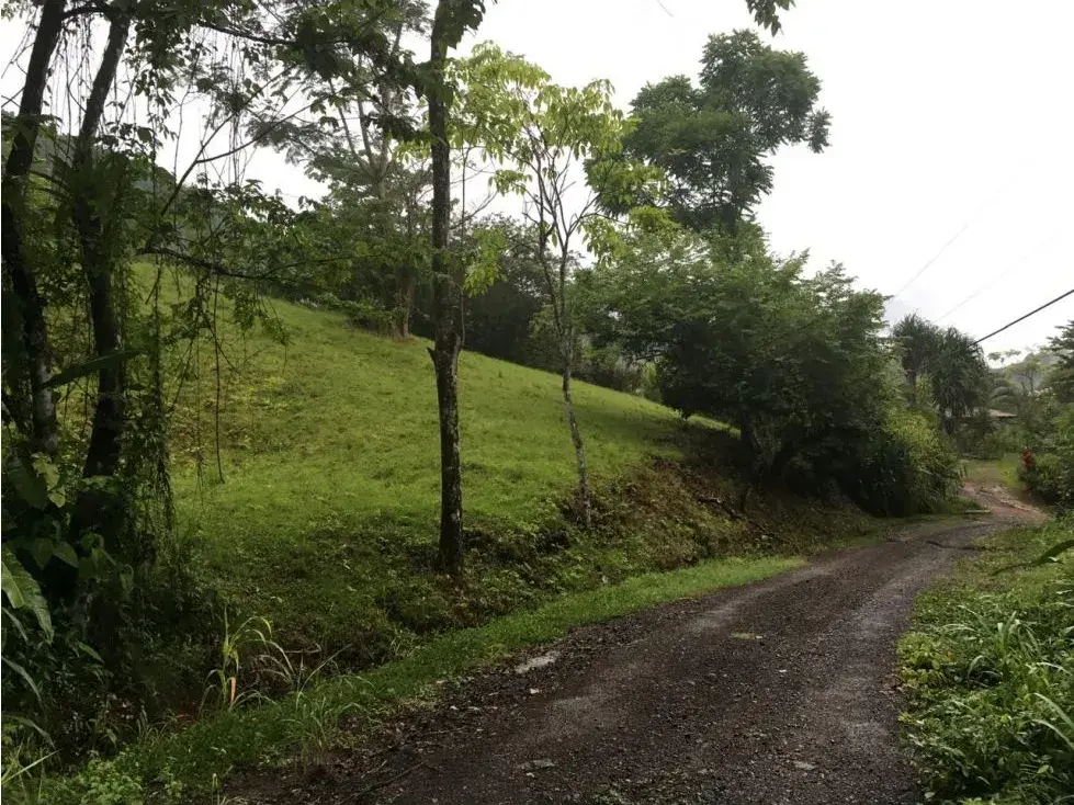 Great Opportunity to Buy Your Lot Of Land In Playa Hermosa, Jaco - 3