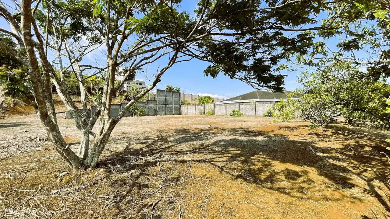 SPACIOUS LAND FOR SALE IN SAN PEDRO, SAN RAMÓN - 2