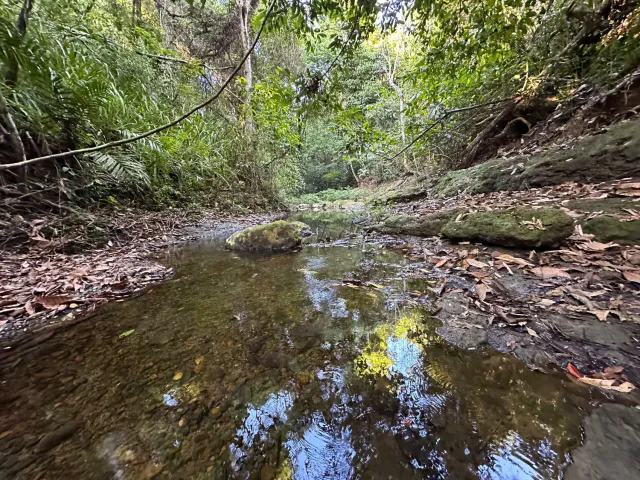 Exceptionnel terrain agricole de 32 hectares à vendre près de Santa Teresa, Costa Rica – 12,50 $/m²