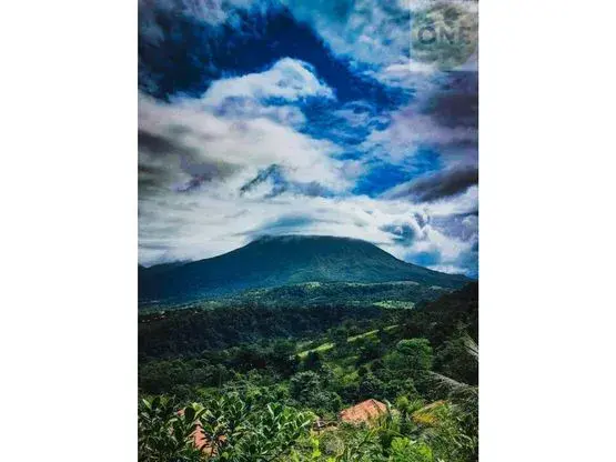 Tranquil Villa with Mountain Views in San Ramón, Costa Rica - 5