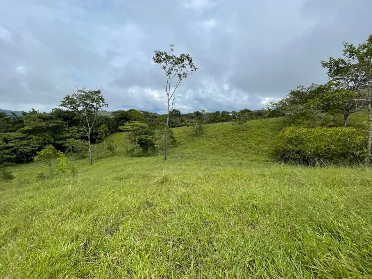 For Sale: Farm for development in Puriscal - 1