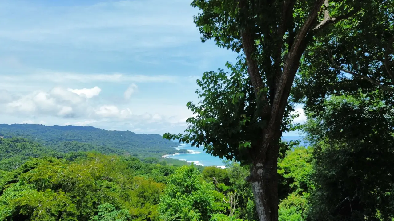 Build Your Dream Villa in Santa Teresa – Prime 1.181.5 m² Lot with Ocean view - 2