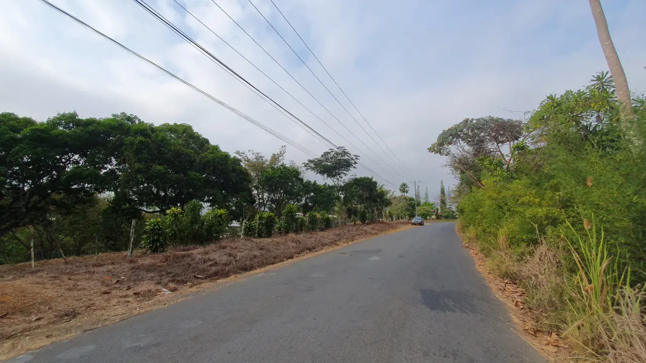 FRUIT TREE PROPERTY IN PEREZ ZELEDON, COSTA RICA - 5