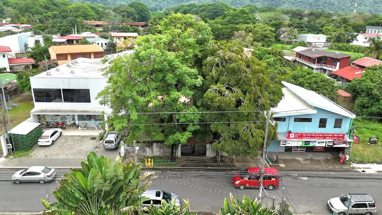 Terreno comercial de primera categoría en la calle Lapa Verde | Oportunidad de inversión de 931 m² en Jacó - 2