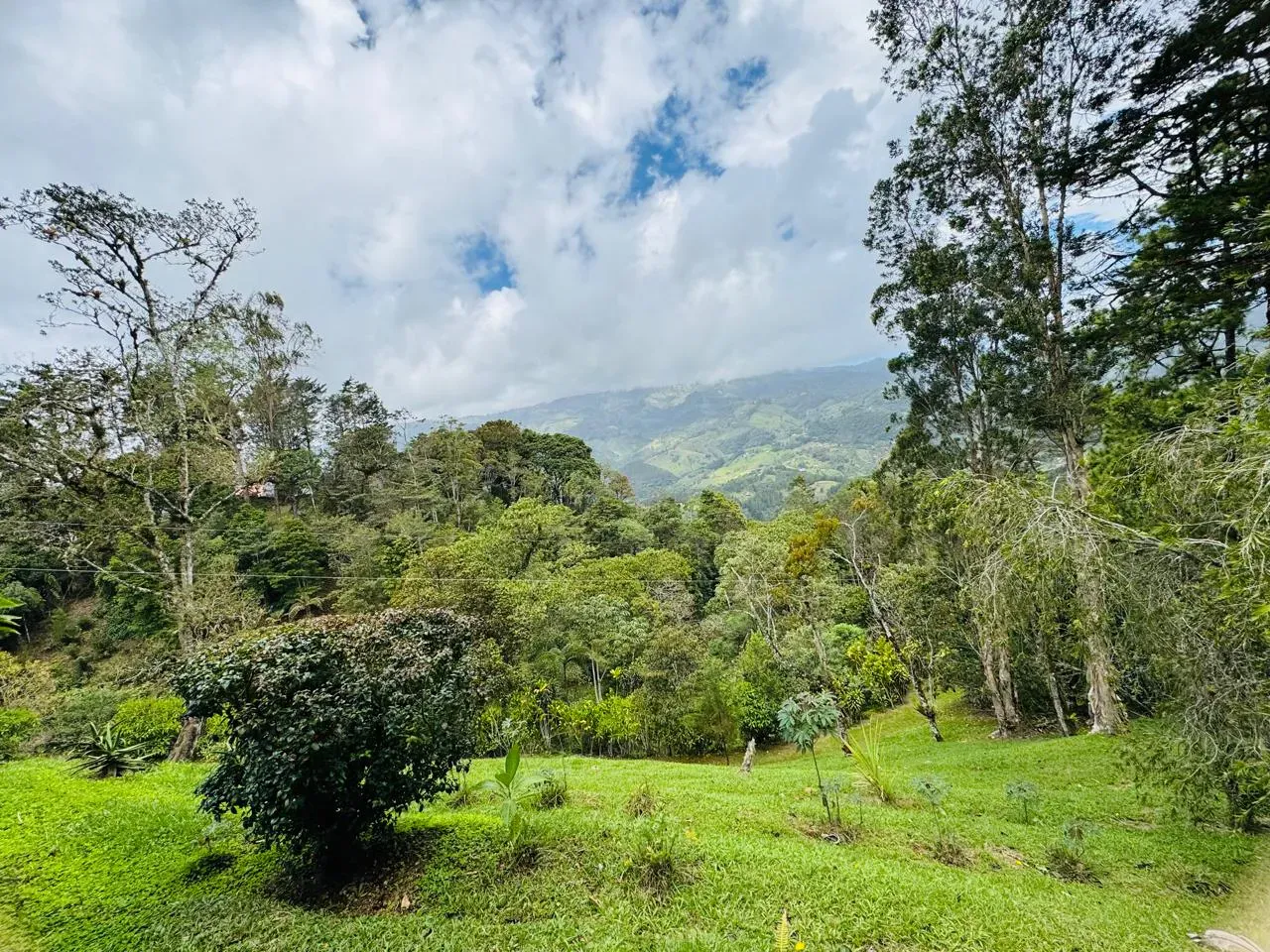 Retiro Campestre Extenso: Naturaleza Exuberante y Encanto Rústico en El Guarco - main