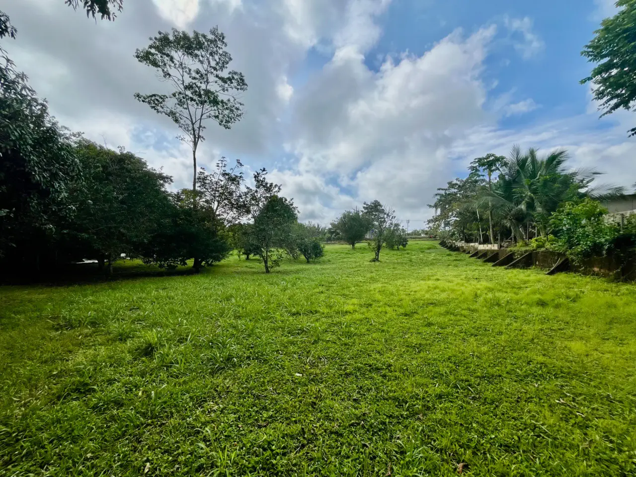 Spacious 2,600 m2 Lot with Fruit Trees near Santa Teresa - Ready to Build - 1