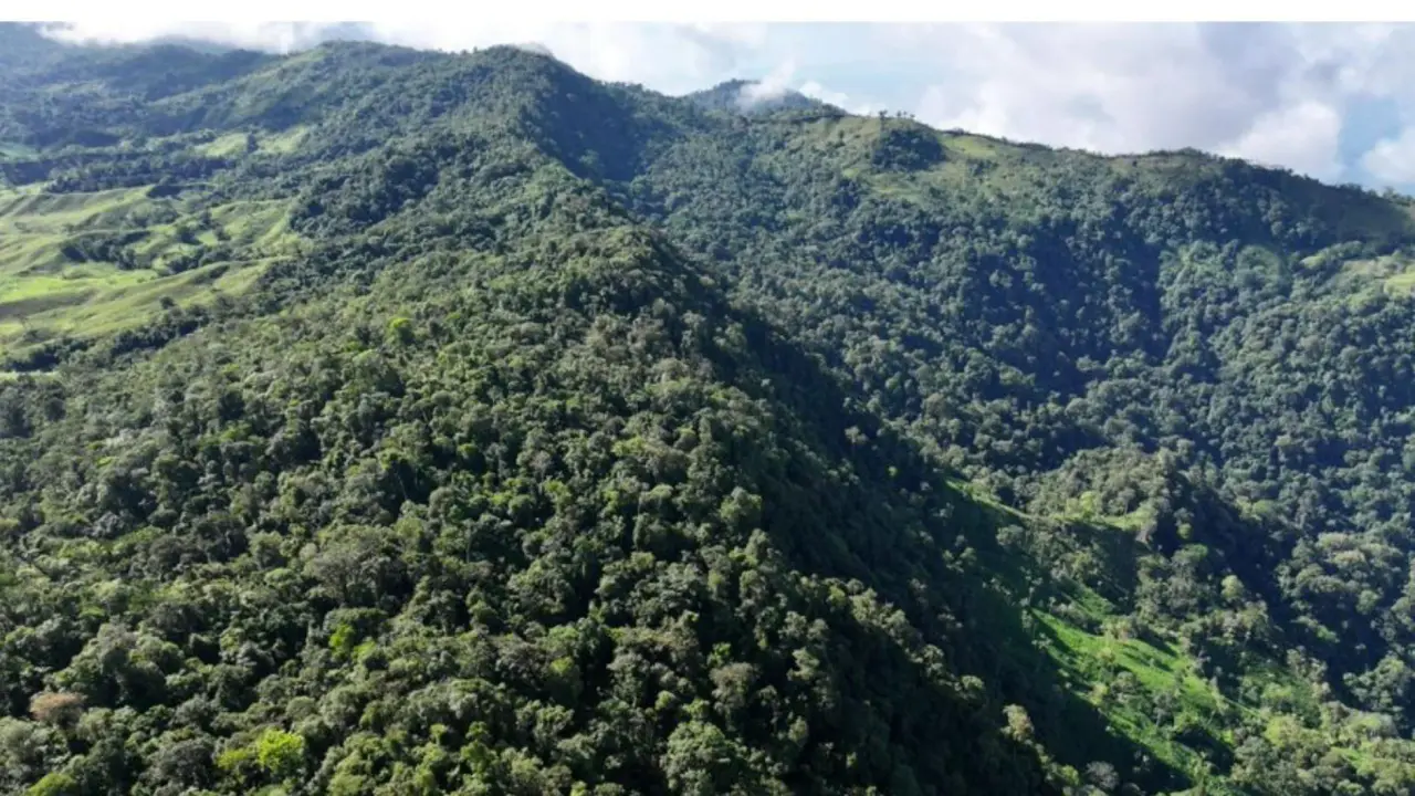 PARADISIACAL 335 ACRES PROPERTY WITH OCEAN VIEW TO UVITA, PUNTARENAS - 2