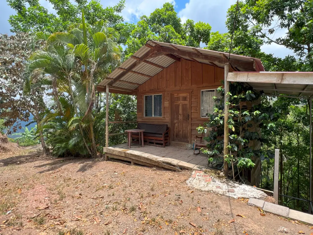 Coffe and fruit tree Finca in Puriscal - 3