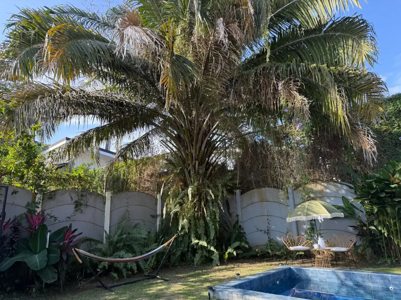 Prime Investment 4-Bedroom Jacó Beach Jacó - 2
