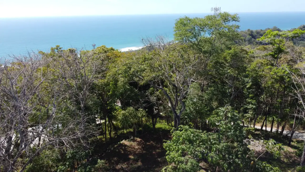 Exclusive 1260 m² Development Lot in Santa Teresa – Prime Location on Calle Buenos Aires - 4