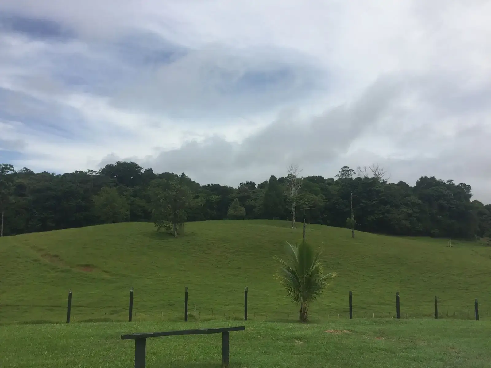 Amplio terreno agrícola y ganadero de 83 hectáreas en Sarapiquí, Heredia - main