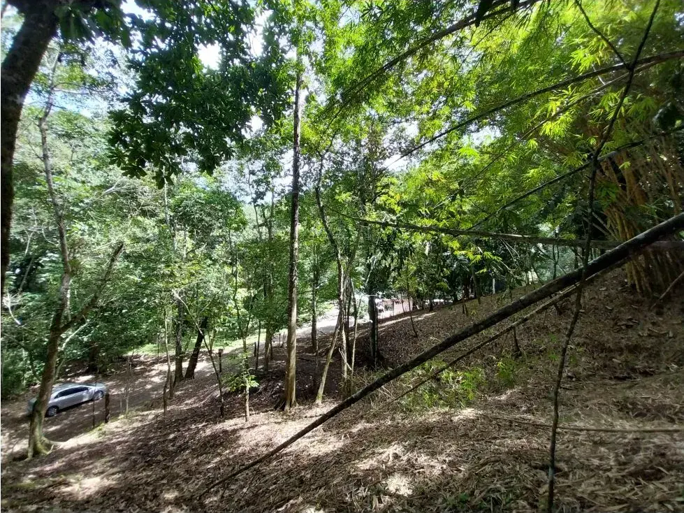 Property With Water Well And Solar Panel's System In Quebrada Seca (Jaco) - 4