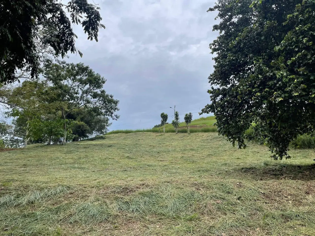 Lot for Sale in Naranjo - 1