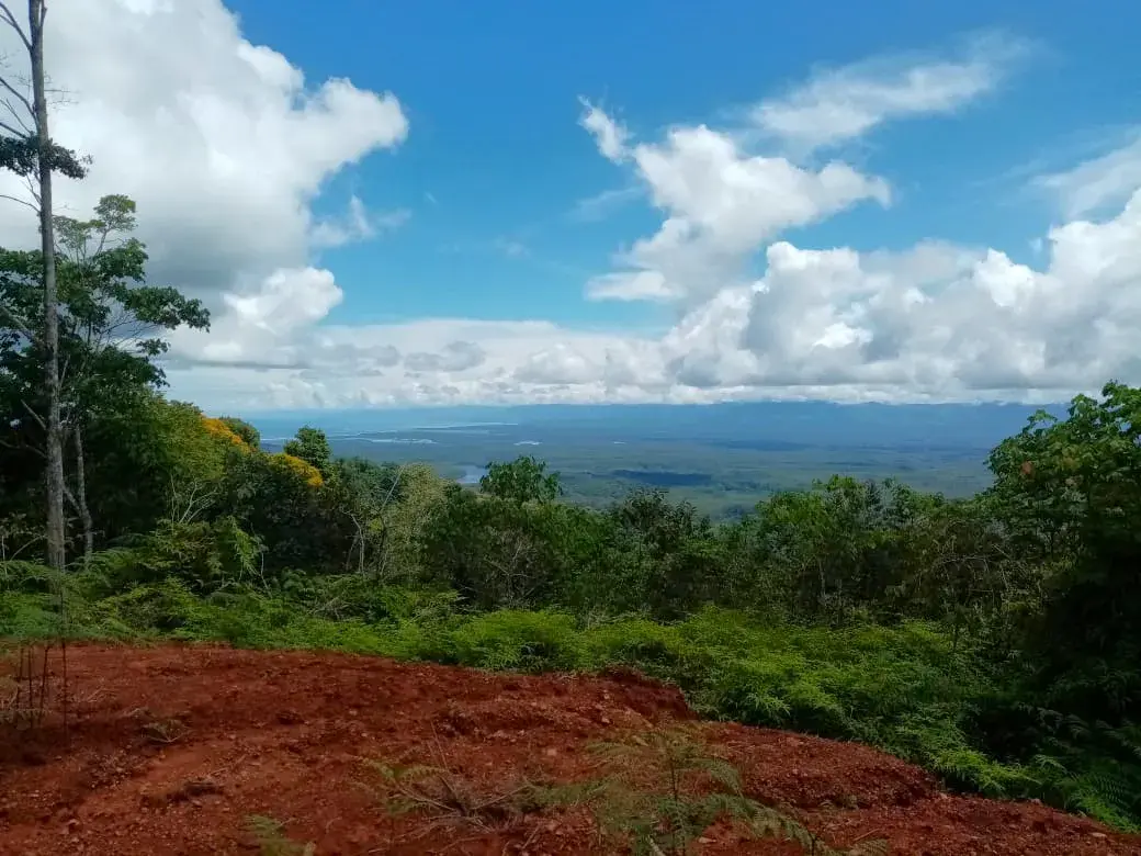 CONSERVATION AND DEVELOPMENT LAND WITH OCEAN VIEW IN SIERPE, COSTA RICA - 1