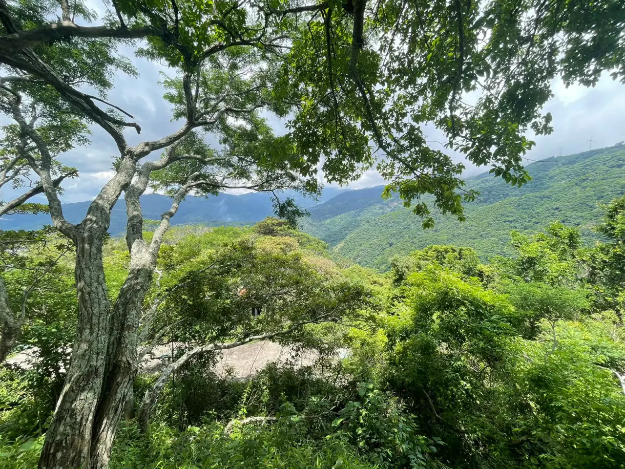 Lots for sale in Santa Ana Mountains - 4
