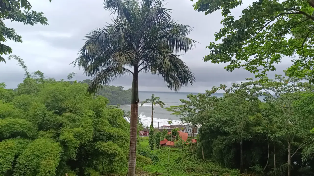 BEACHFRONT INVESTMENT OPPORTUNITY IN MATAMA , LIMON , COSTA RICA. - 2