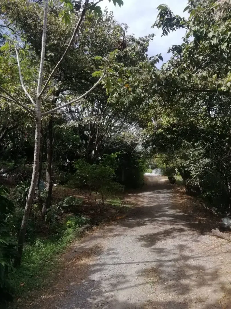 Hermoso lote en Santa Ana para Desarrollador - 3