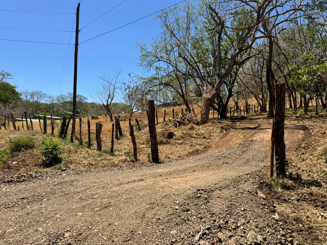 Sale / Exceptional Lot in Tamarindo, Guanacaste: Near Beaches and Nature - 2