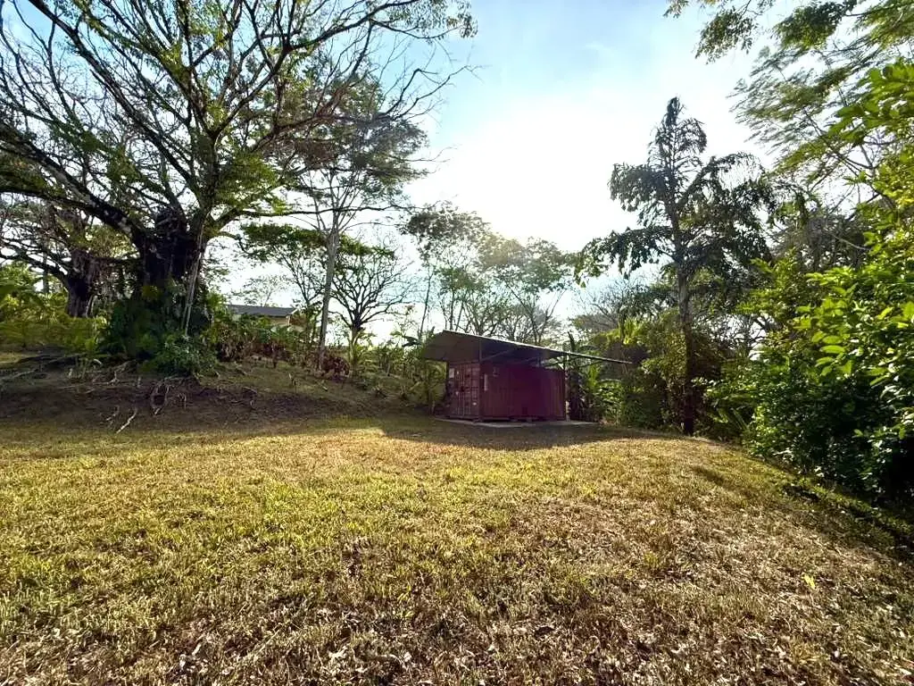 Jungle Lot 1,494 m² in Delicias with Container Storage & Home Potential | 15 Min to Playa Carmen - main