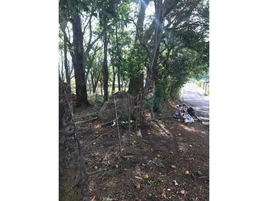 LOTE DE TERRENO, TERRENO SAN ANA SALITRAL - 3