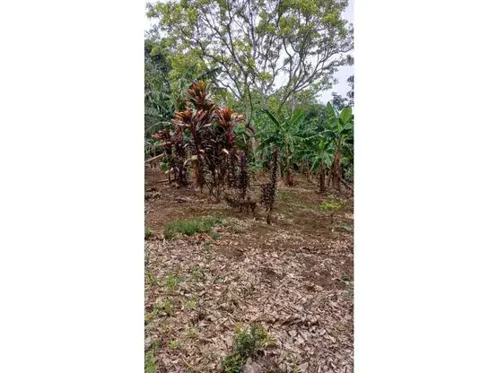 Lot for Sale in Santa Bárbara de Heredia - 5