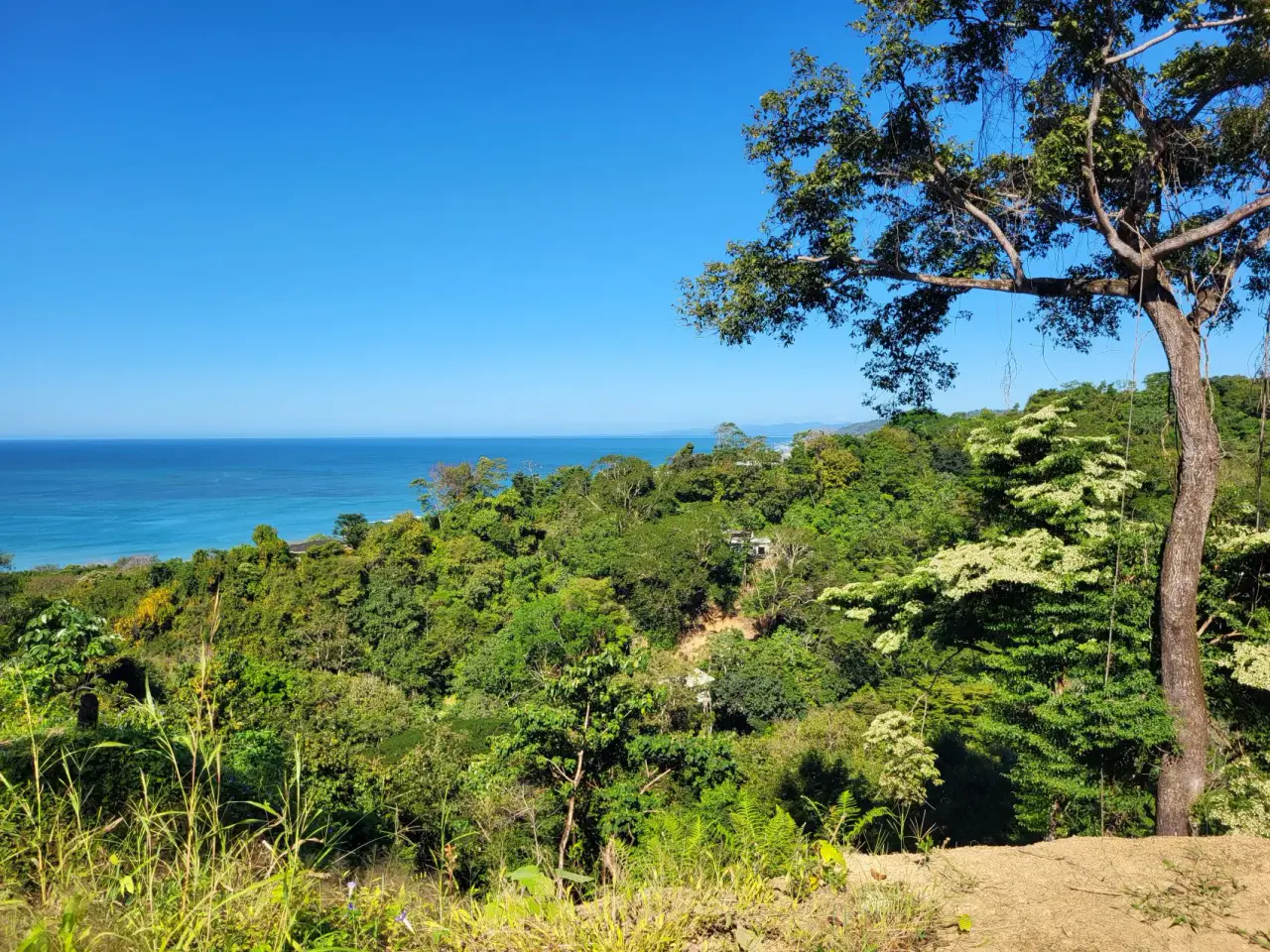Beautiful 1.8 (18,000 m2) Hectare Mountainside Ocean View Lot in Mal Pais - 4