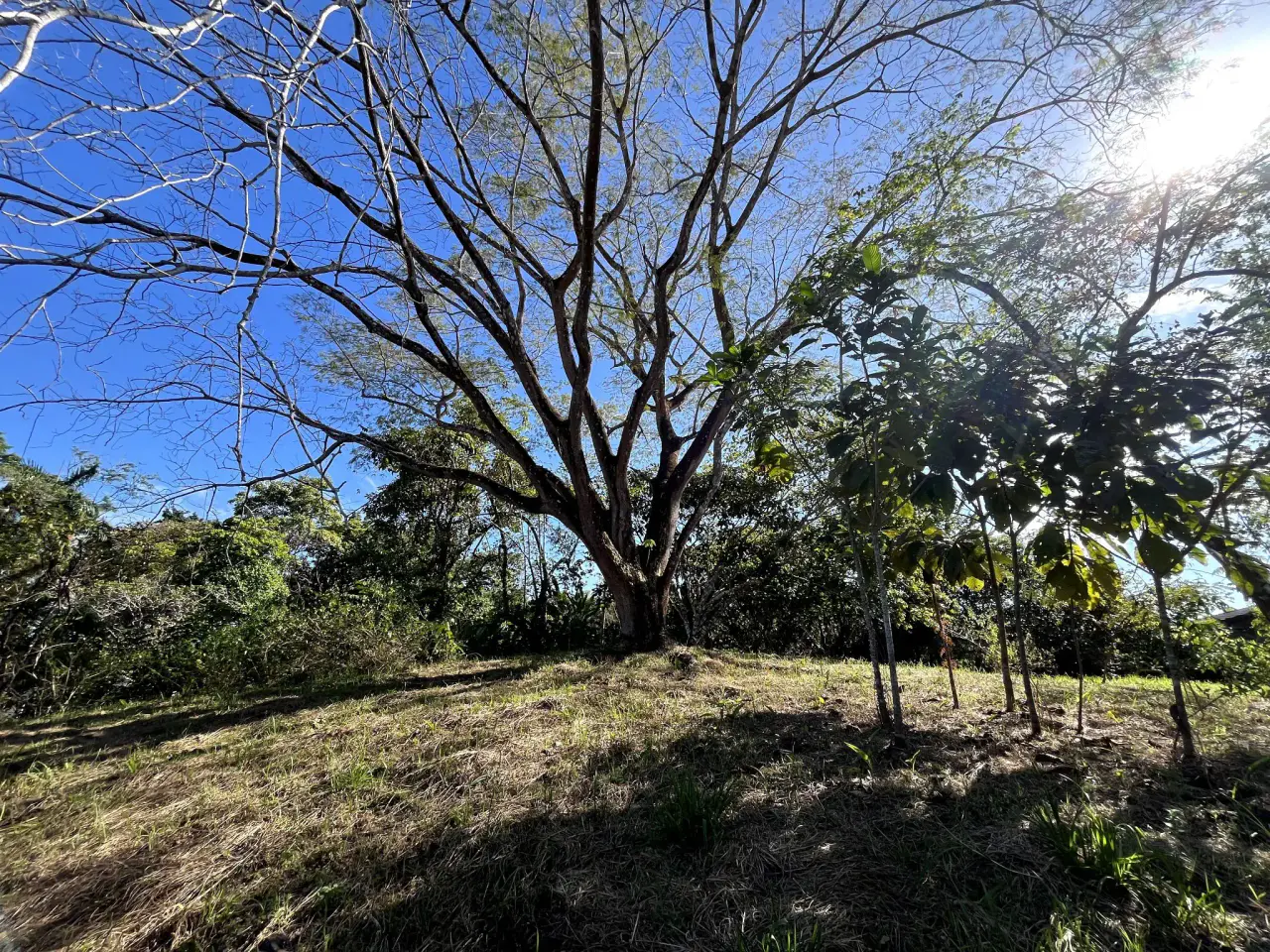 4000m2 Lot with parcial ocean views in Delicias close to Montezuma and 20 min from Santa Teresa Ready to Build - 5