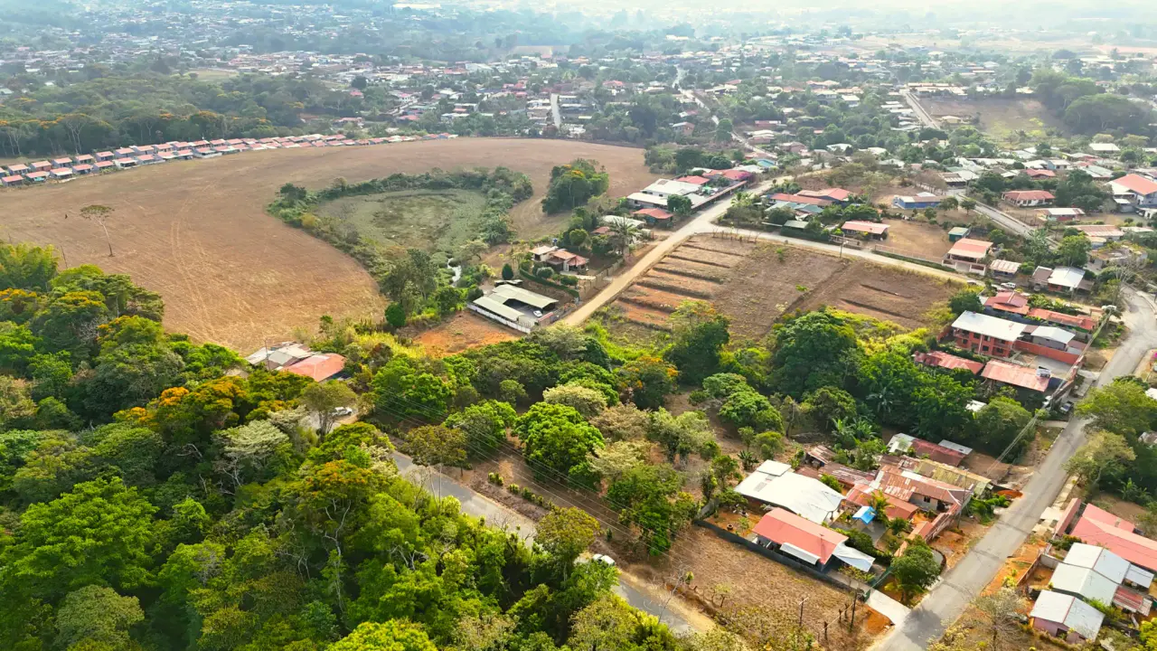 FRUIT TREE PROPERTY IN PEREZ ZELEDON, COSTA RICA - 3