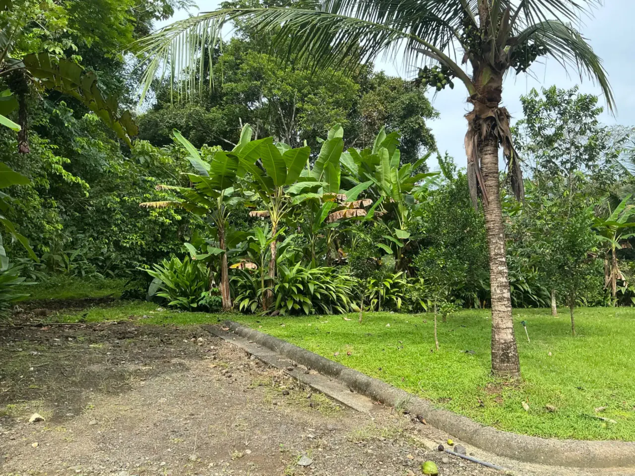 Lot for Sale in Plantation Acres - 5