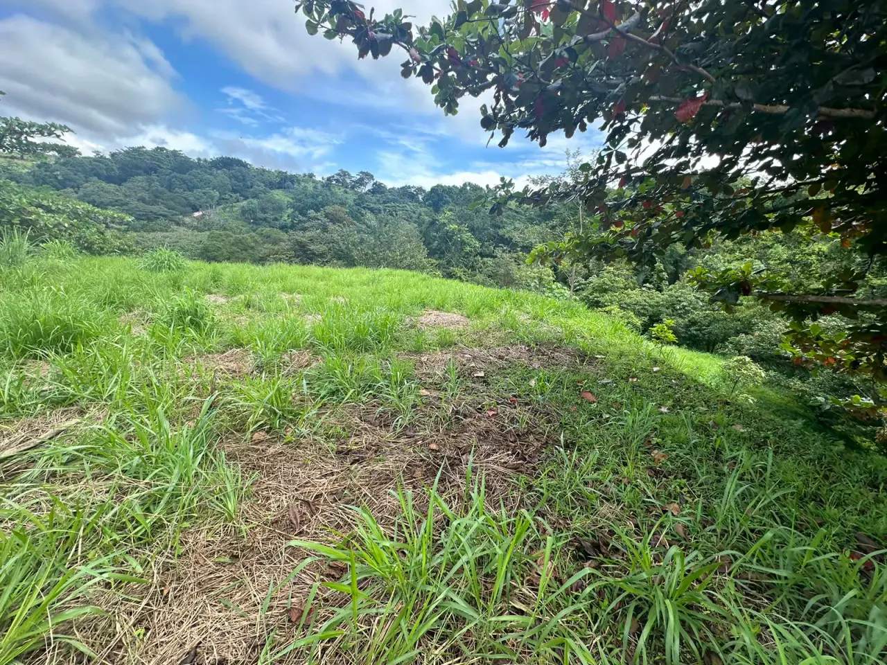Build Your Future in Turrubares: Nature, Development, and Quality of Life - 4