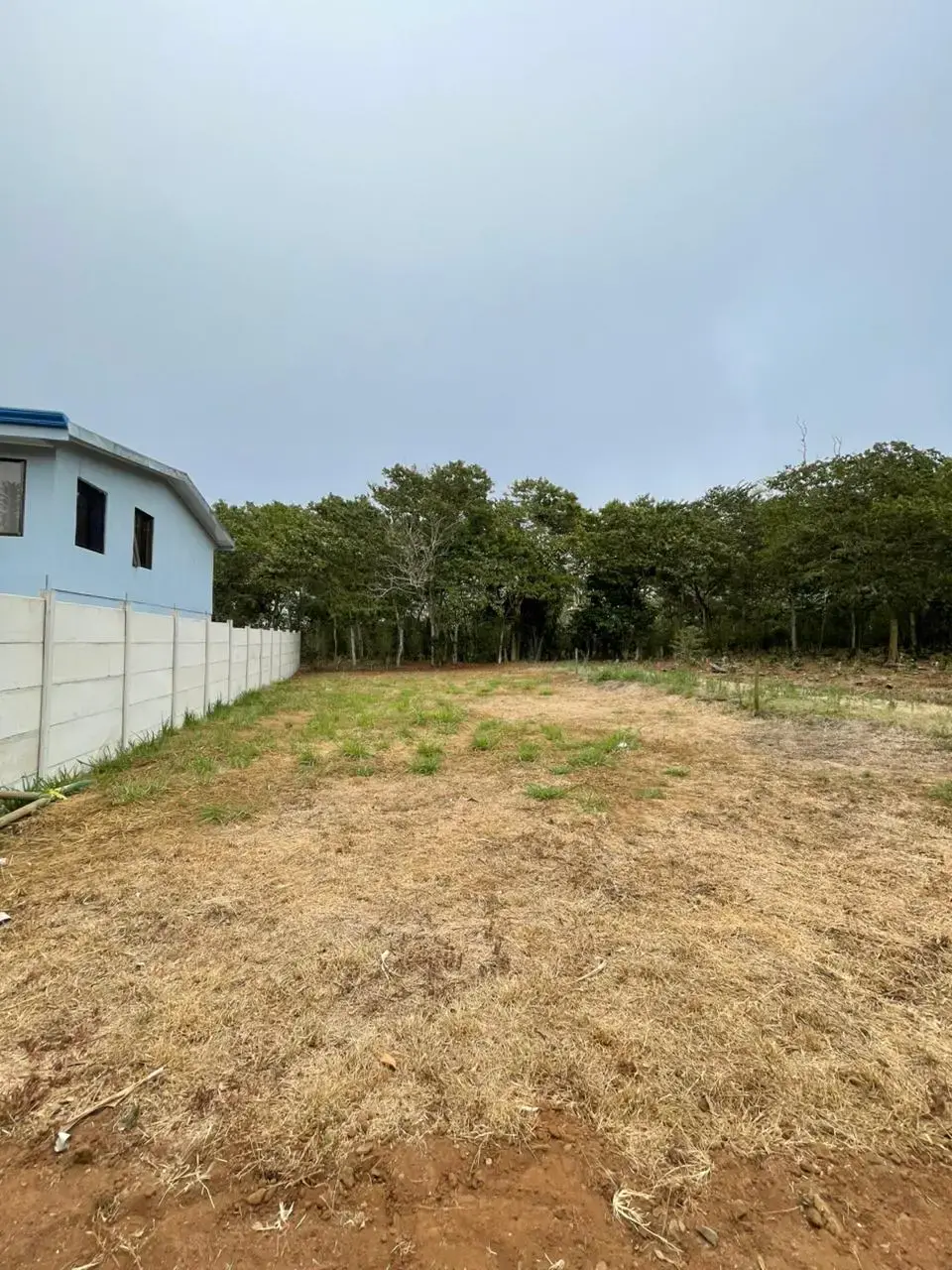 Prime 300sqm Residential Lot in Zaragoza, Palmares, Alajuela - Build Your Dream Home! - 2