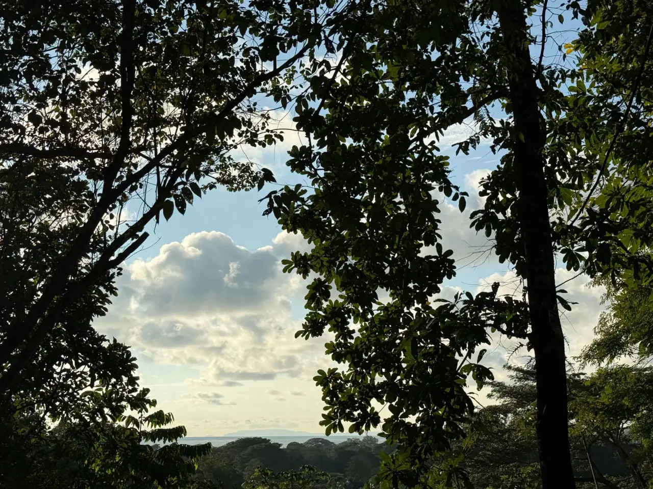 🌊 Luxury Tropical Investment: Ocean & Jungle View Lot with Approved Permits - 4