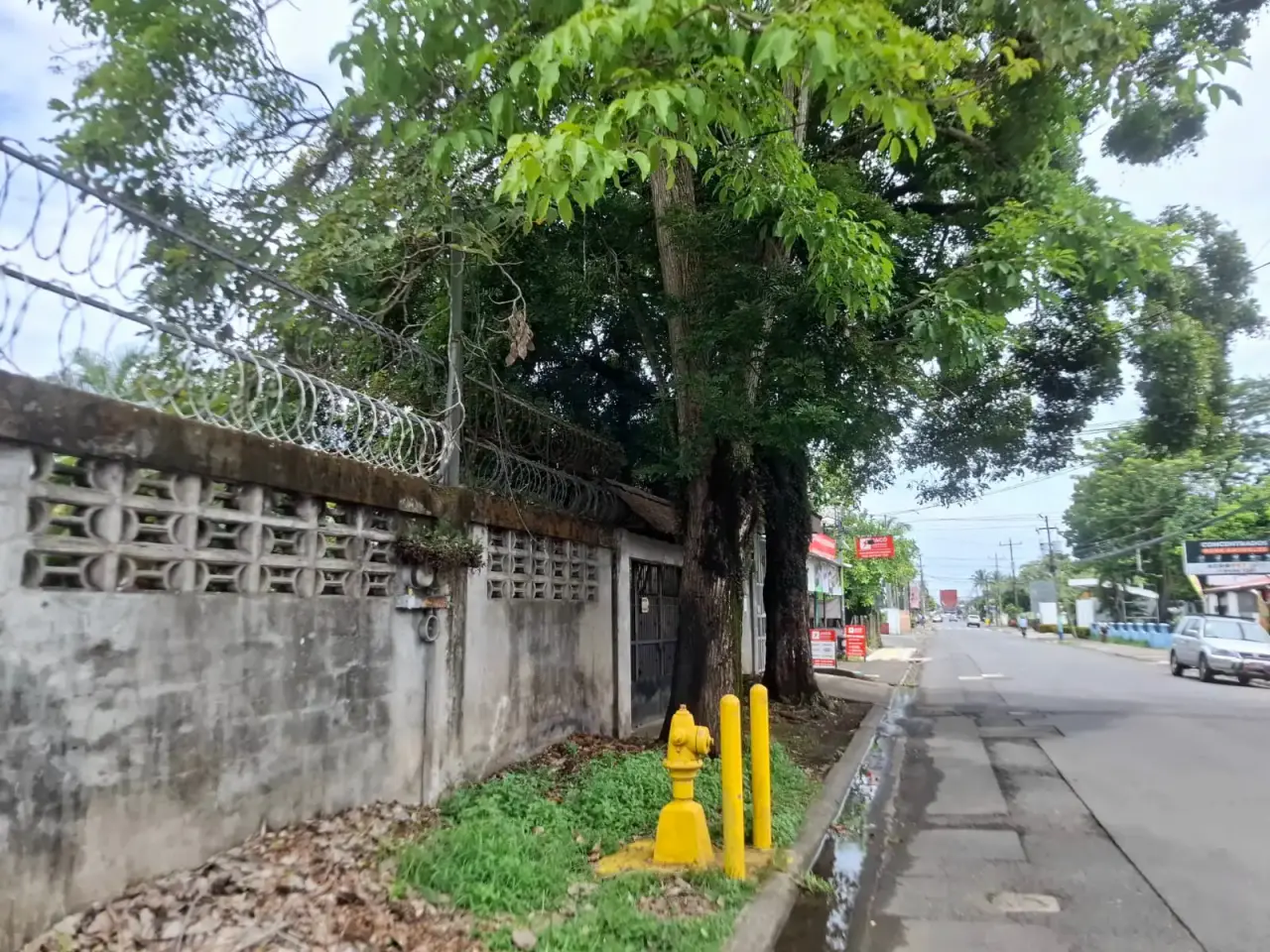 Terreno comercial de primera categoría en la calle Lapa Verde | Oportunidad de inversión de 931 m² en Jacó - 5