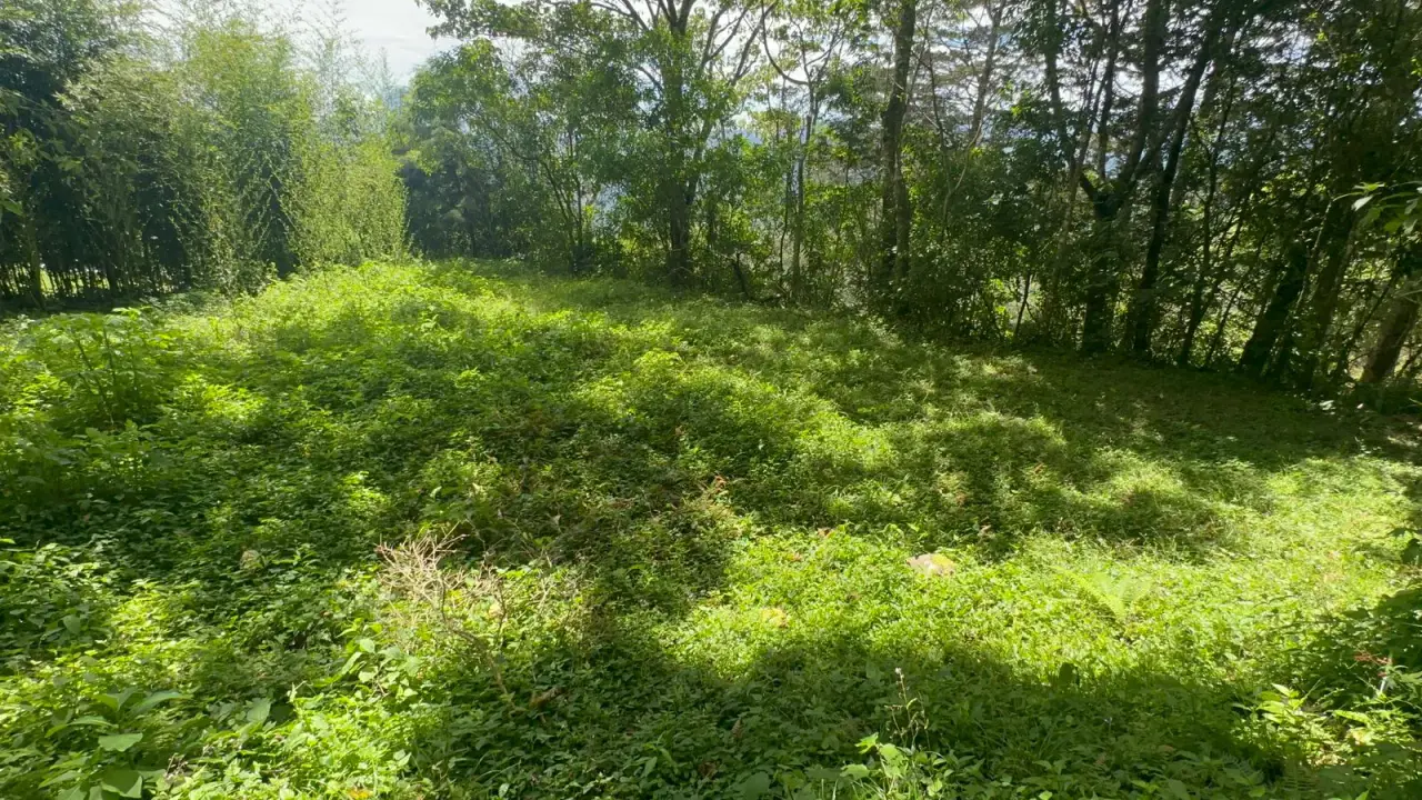 Land for Sale in Tarbaca a Natural and Tranquil Environment - 3