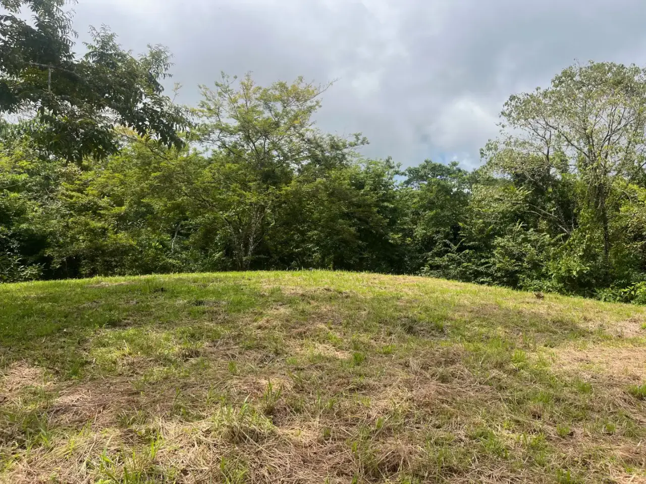 Beautiful Ready to Build Lot in Delicias, Great Price with Project and Permits included - 4