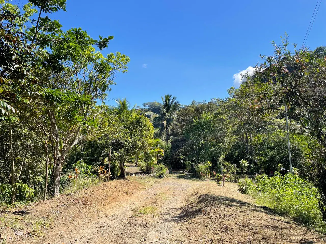 Sale / Impressive Lots (With Permission for Commercial Use), Ciudad Colon, San Jose - 5