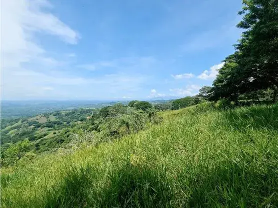 For sale: Developable land in Desmonte - 2