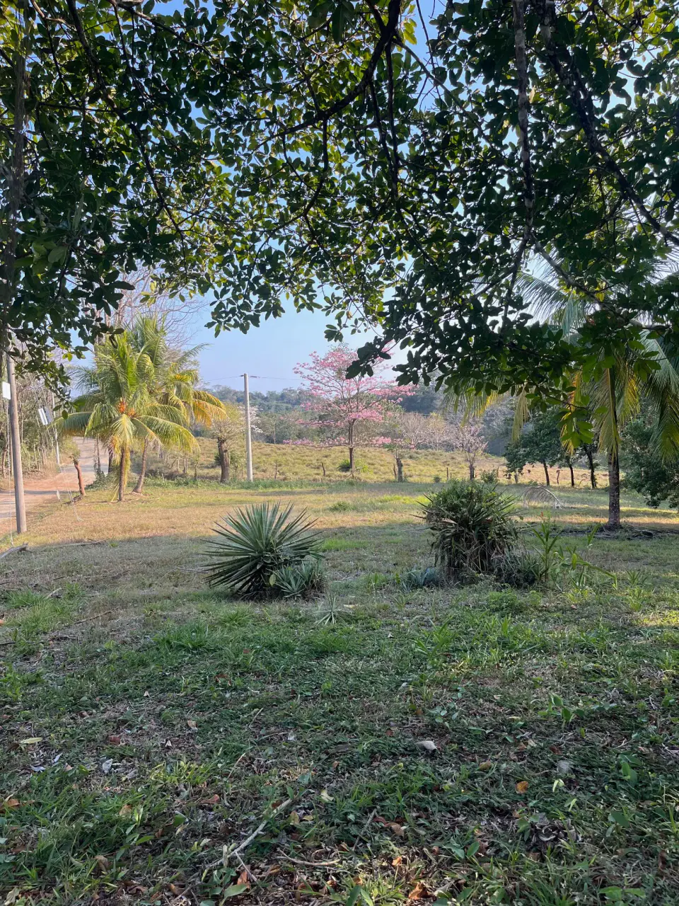 11.000 m² de hermoso terreno con vista al mar – Uso residencial y comercial en Santiago - 4