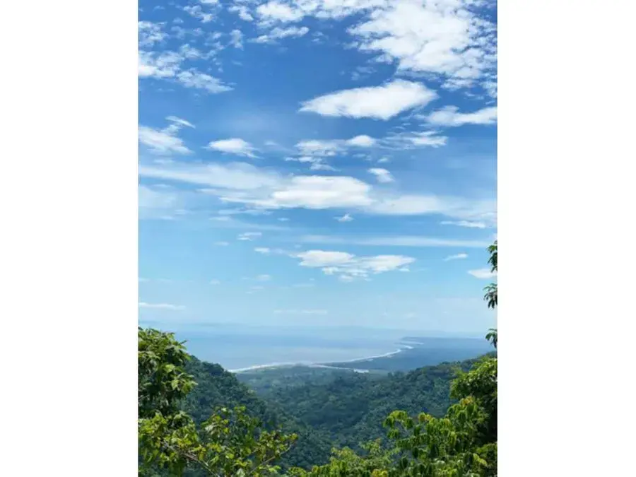 Beautiful Plot Of Land In Bijagual - 1