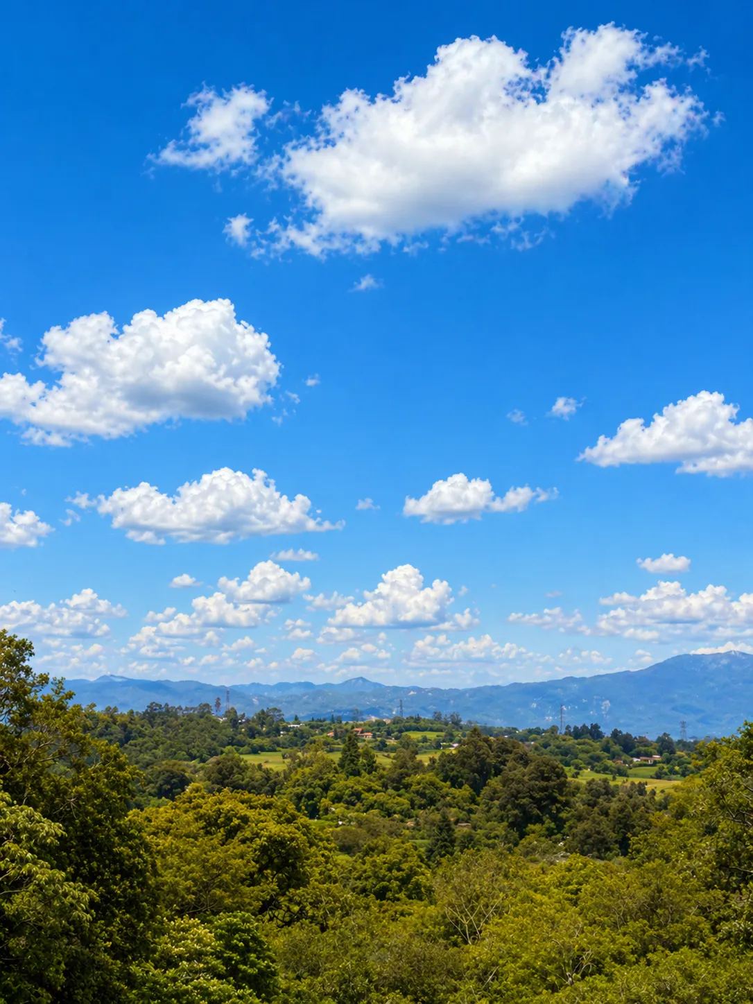 SALE / Coronado Mountain Sanctuary - main