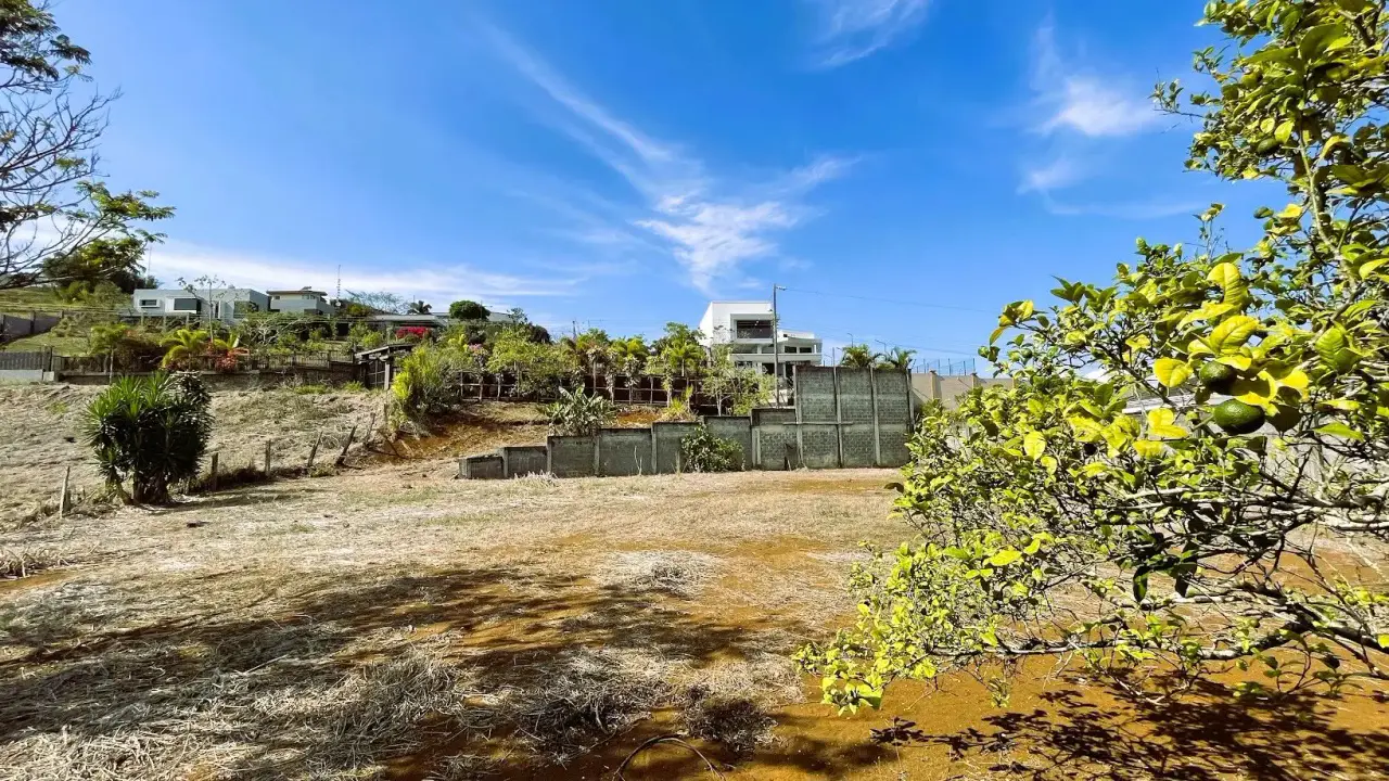 SPACIOUS LAND FOR SALE IN SAN PEDRO, SAN RAMÓN - 4