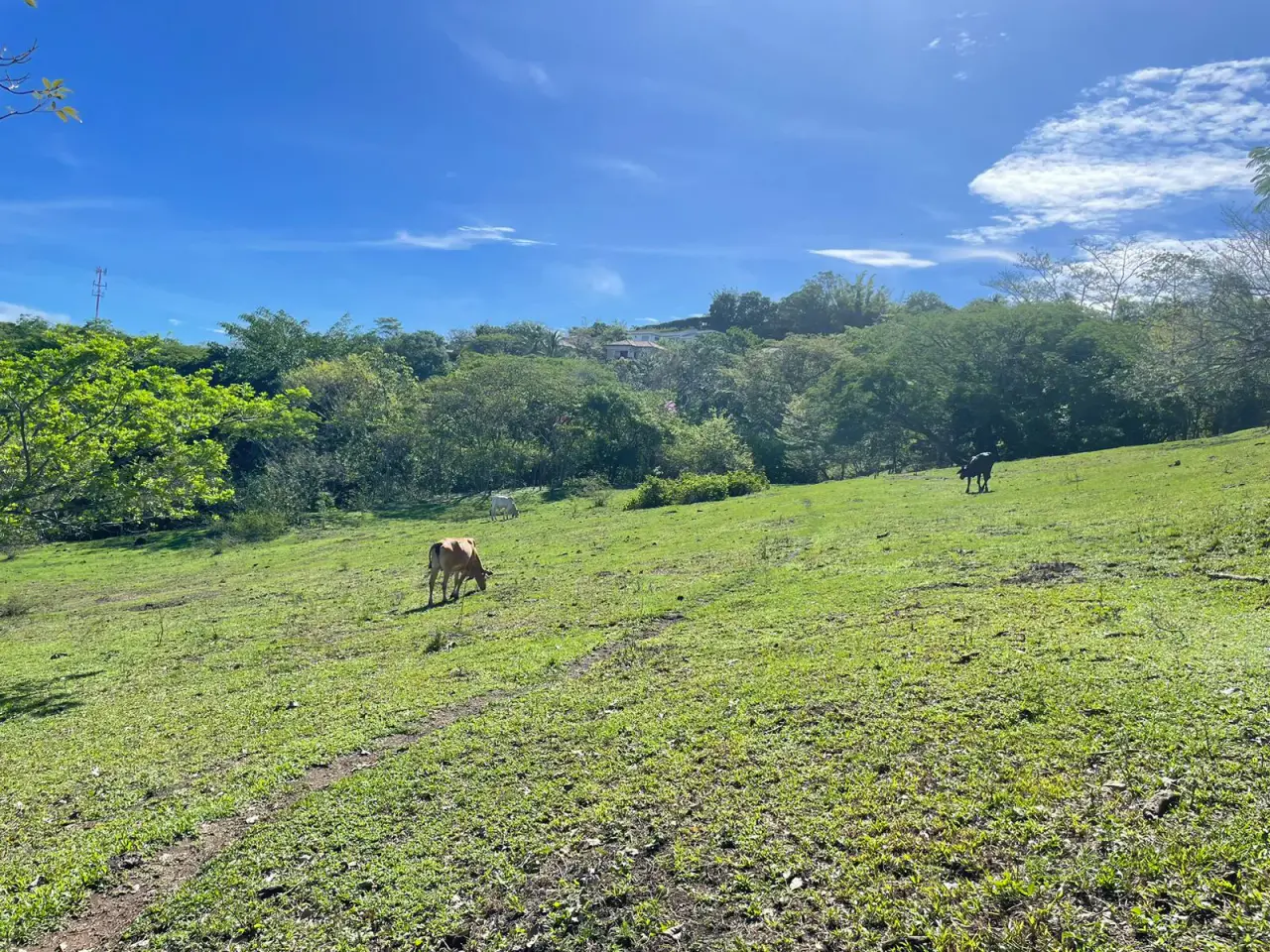 For Sale: Land for Development in Santa Ana - 2