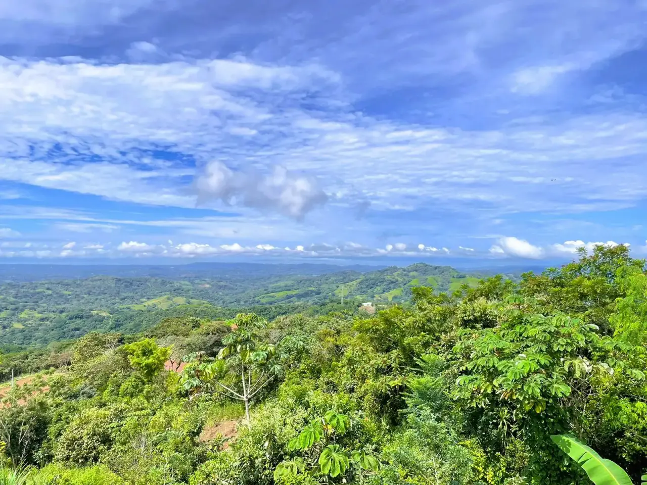 BEAUTIFUL HOUSE WITH GULF OF NICOYA VIEWS FOR SALE – SAN RAMÓN, ALAJUELA - 4