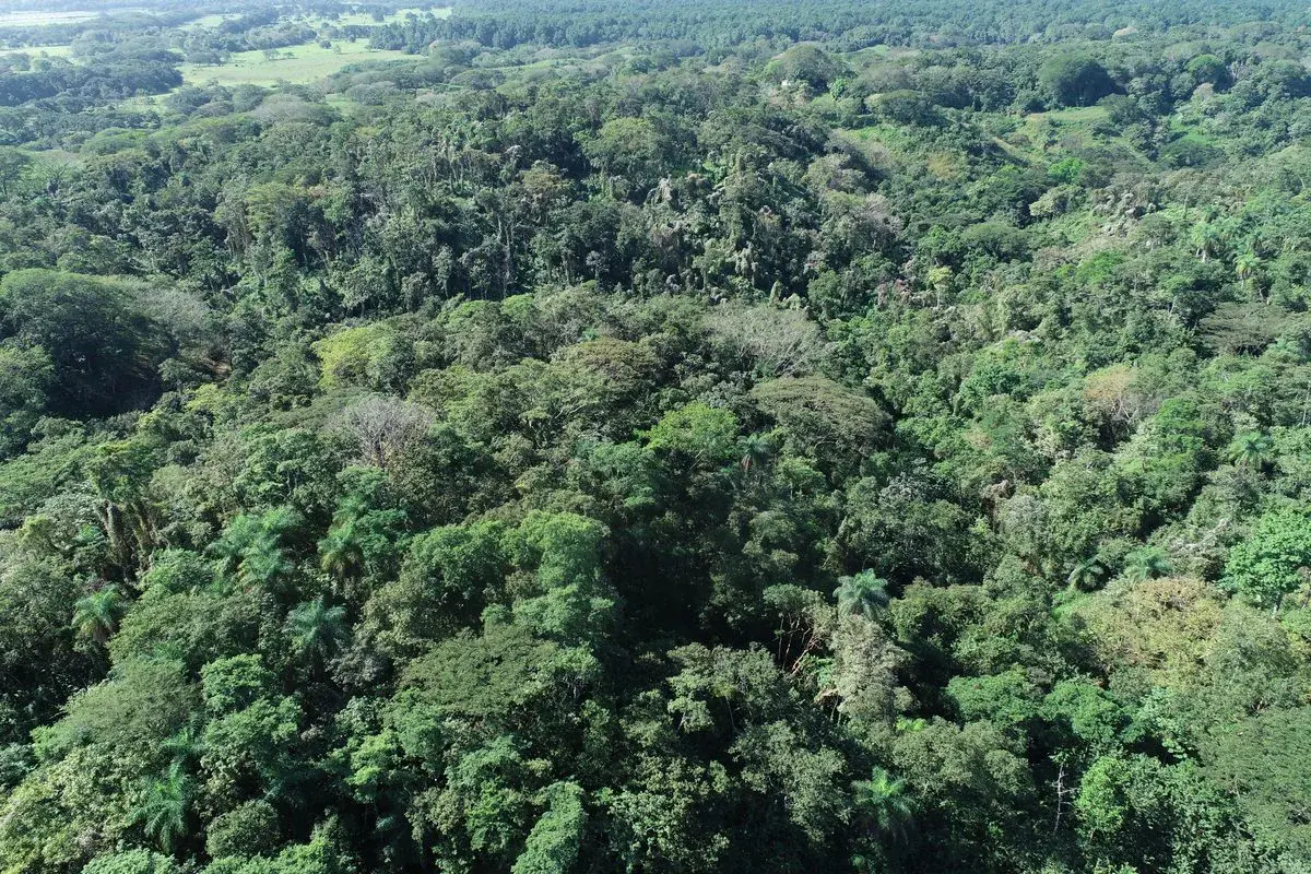 Exclusive Tarcoles Land: Panoramic Views and Stunning Sunsets - 3