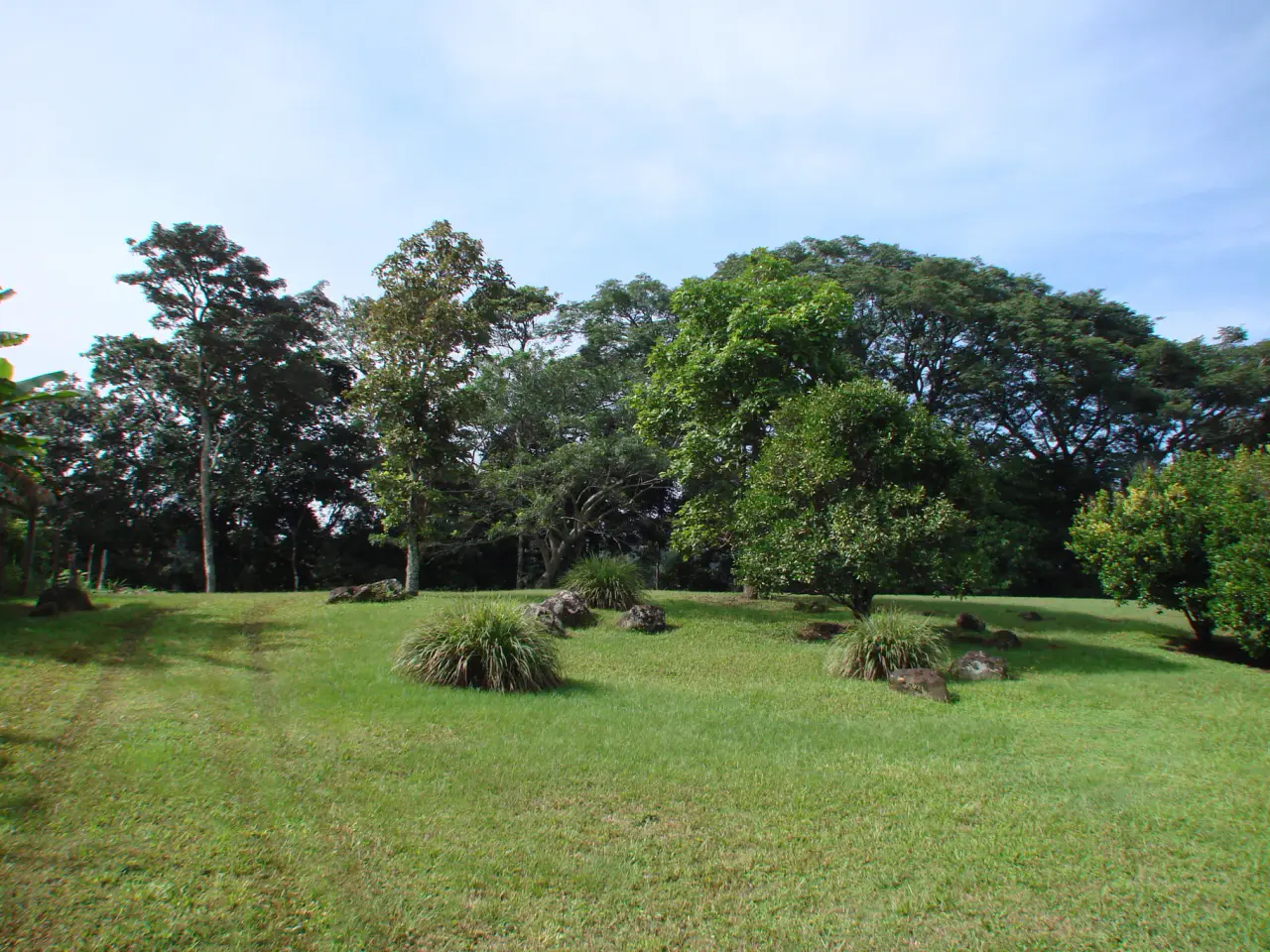 Home construction site property in Cuidad Colón - Lot for sale - 4