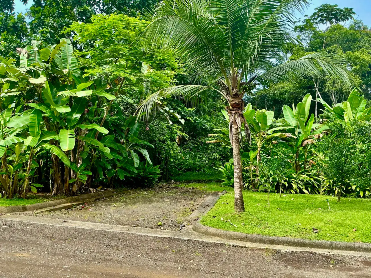 Lot for Sale in Plantation Acres - 4