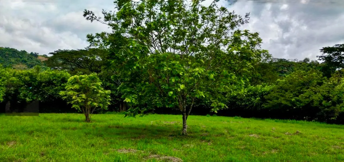 4,034 M² MIXED-USE LOT IN PLAYA HERMOSA, JACO - 3